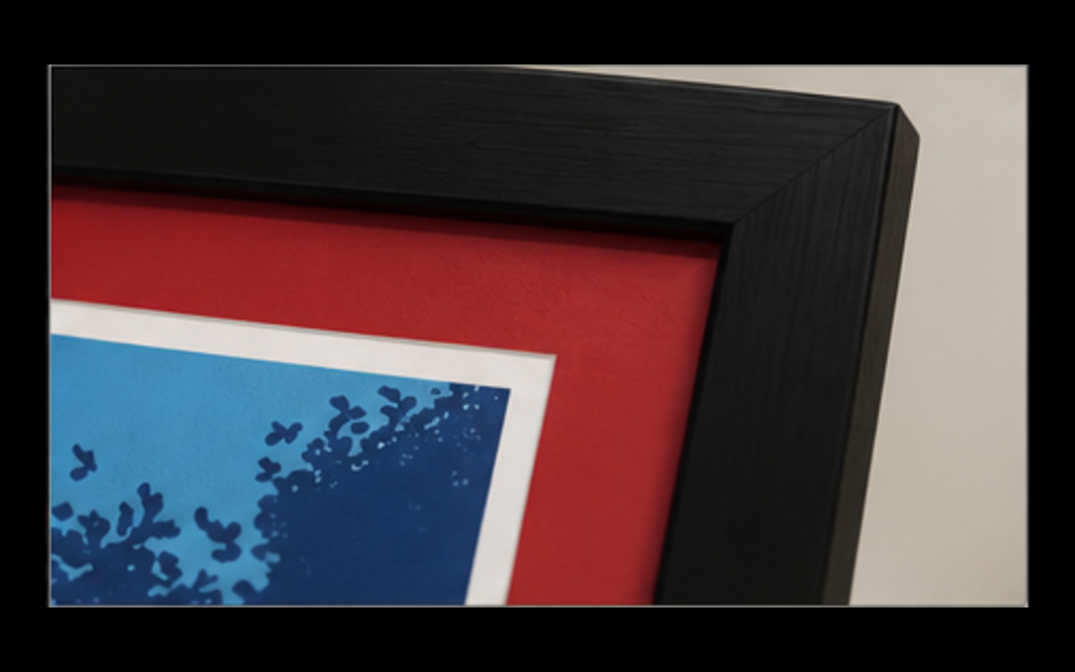 Black frame and red mat detail